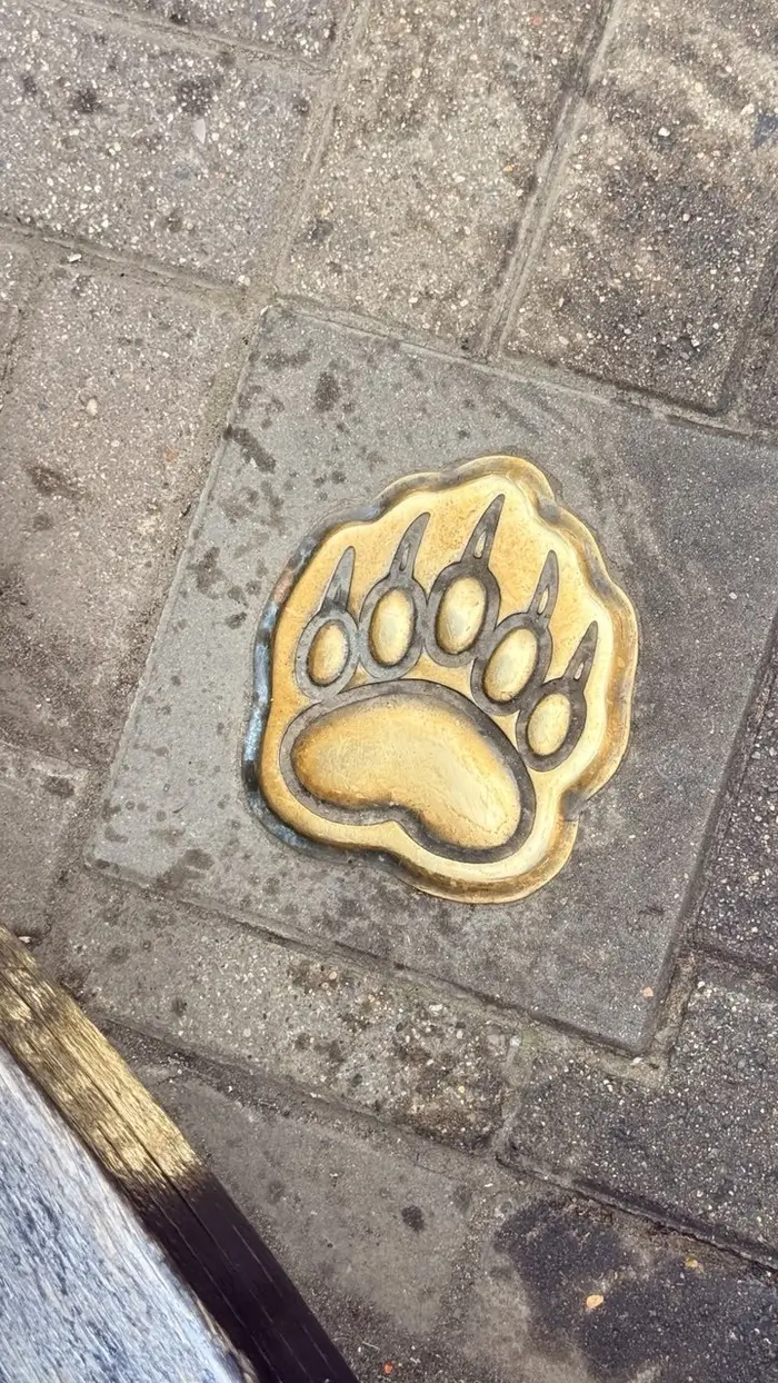 Программа Брокер Тура — фото 3